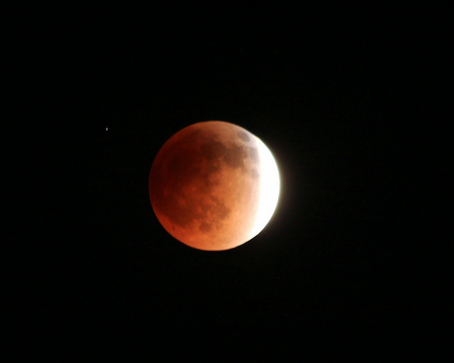 blood moon tweets