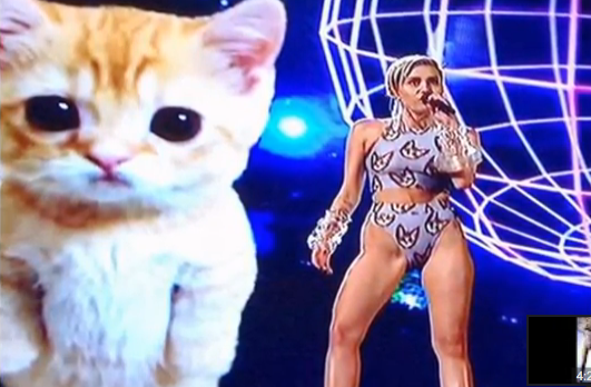 miley cyrus, spacekitten, amas