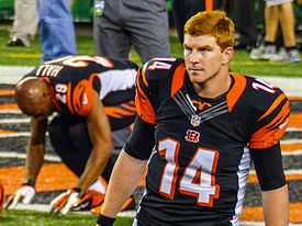 andy dalton, fantasy football, week 16