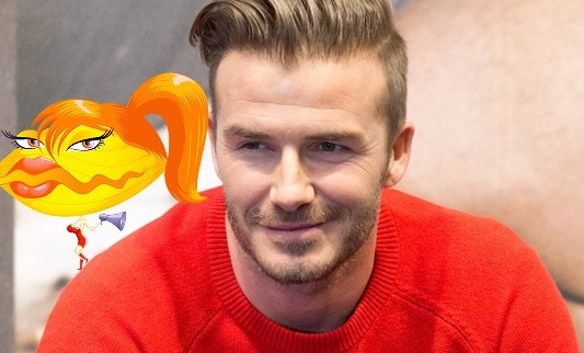 becks