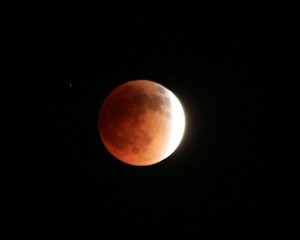 blood moon tweets