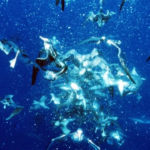 This Week on U&Yesterday: From Ocean Depths to WWII Secrets – A Curated TV Guide