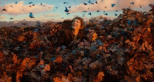 the hobbit, peter jackson, desolation of smaug