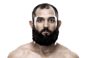 johny hendricks, nick diaz, ufc, mma