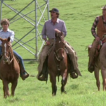 Magnum, P.I. & Co: A Thursday Mix You Can’t Miss