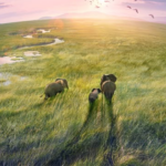Weekend TV Picks: From Planet‑Earth Wonders to Banger‑Bashing Adventures