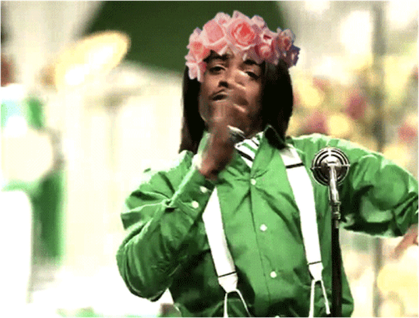 coachella, memes, indio