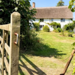 BBC Two Thursday Night: Escape to the Country & More – Your Insider Guide
